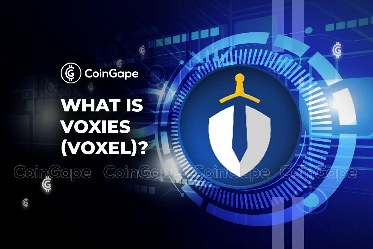 What is Voxies