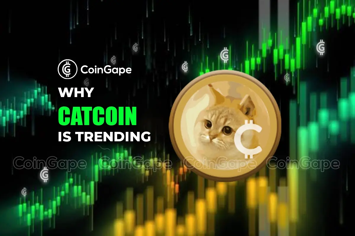 why Catcoin is trending Today
