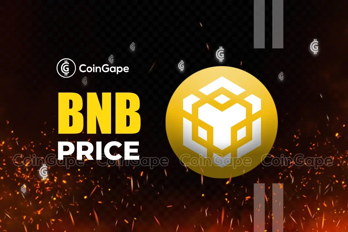 Where's BNB heading next? Price Rally or Decline
